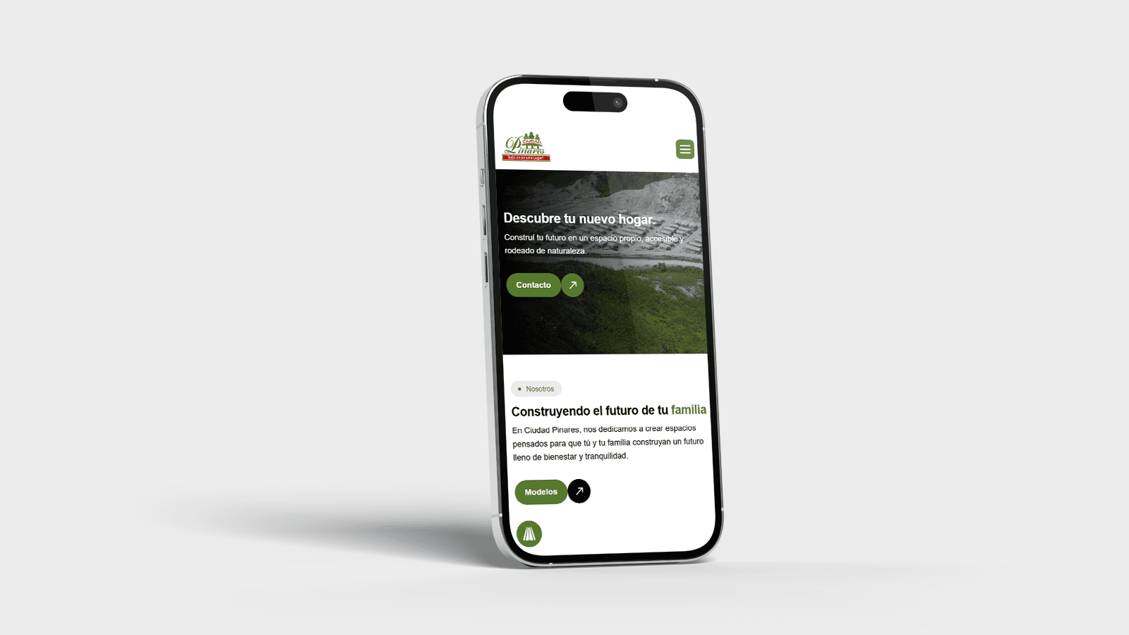 Website mobile view