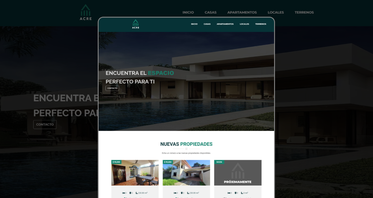 portfolio